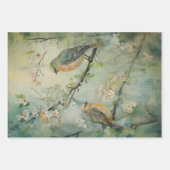 Sprookjesland Lente Bos Vogels No2 Inpakpapier Vel (Voorkant)