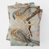 Sprookjesland Lente Bos Vogels No3 Inpakpapier Vel (In situ)