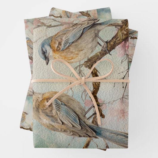 Sprookjesland Lente Bos Vogels No3 Inpakpapier Vel (In situ)