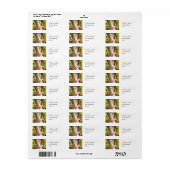Sprookjesvlinder Etiket (Full Sheet)