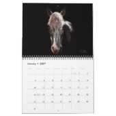 Sprout 2024 Paarden van Hoop Kalender (Jan 2027)