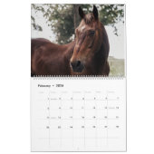 Sprout 2025 Kalender (Feb 2026)