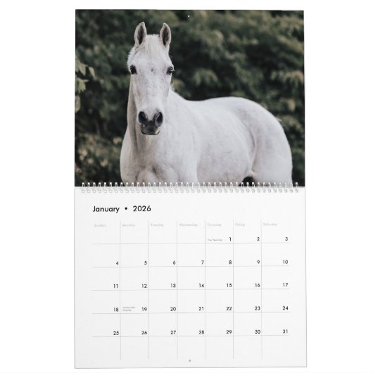 Sprout 2025 Kalender (Jan 2026)