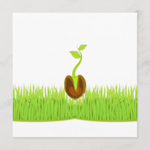 Sprout! Aankondiging