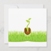 Sprout! Aankondiging (Voorkant)