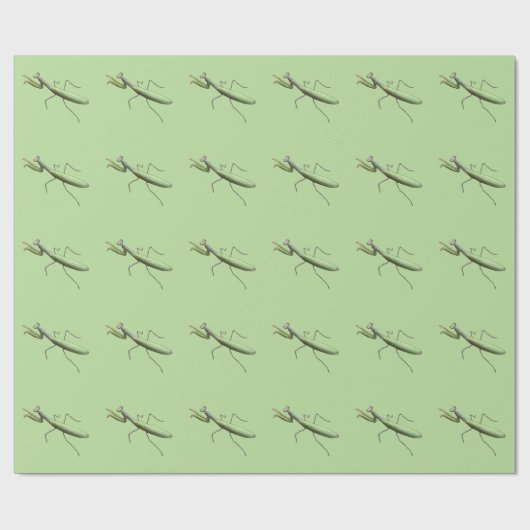 Sprout Praying Mantis Cadeaupapier (Vlak)