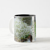 Sprouting: de Gids van Beginners aan Groeiende Spr Tweekleurige Koffiemok (Voorkant links)