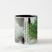 Sprouting: de Gids van Beginners aan Groeiende Spr Tweekleurige Koffiemok (Center)