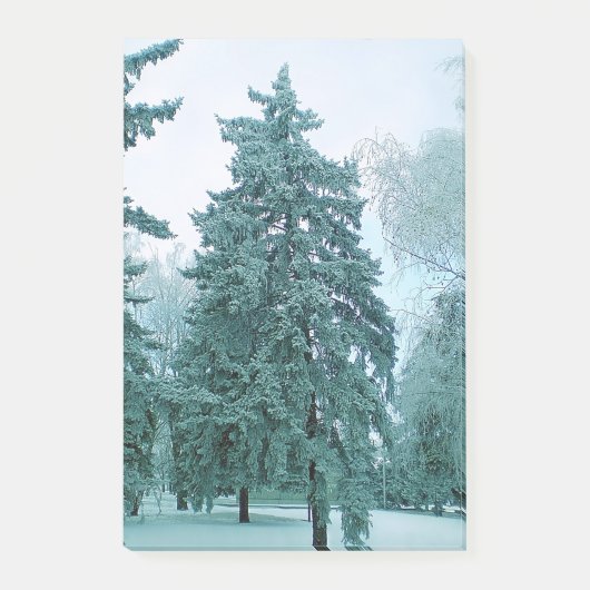 Spruce-boom met ijs post-it® notes (Voorkant)