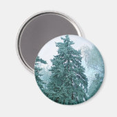 Spruce-boom met sneeuw magneet (Voorkant / Achterkant)