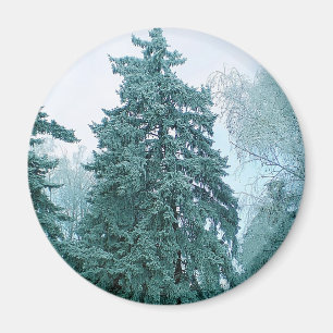 Spruce-boom met sneeuw magneet