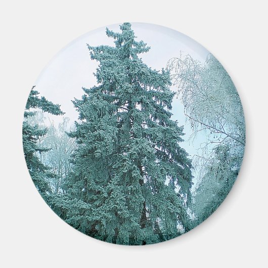 Spruce-boom met sneeuw magneet (Voorkant)