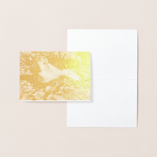 Spruce Flats Herfsten Folie Kaarten (Display)