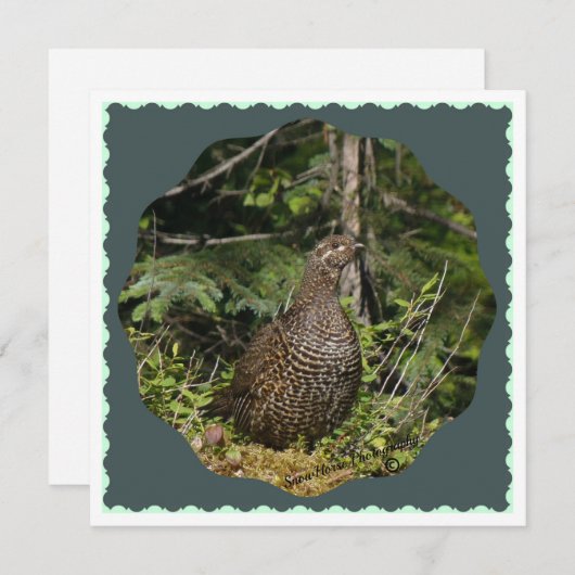 Spruce Grouse (Voorkant / Achterkant)