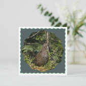 Spruce Grouse (Staand voorkant)