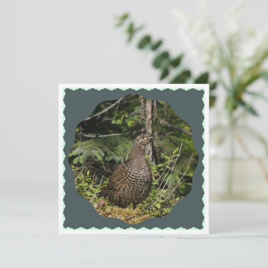 Spruce Grouse (Staand voorkant)