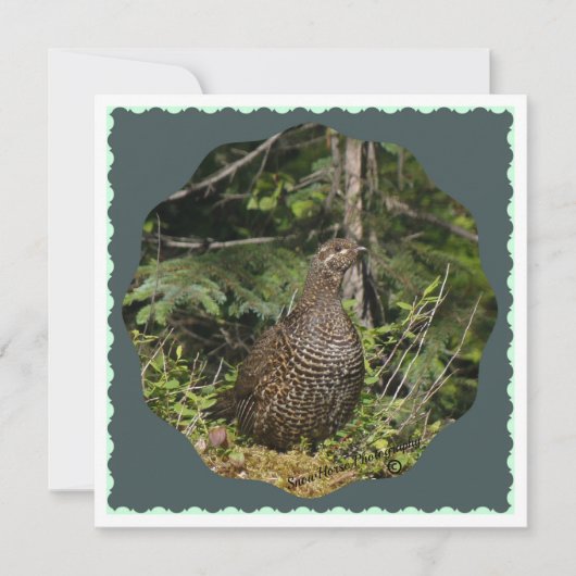 Spruce Grouse (Voorkant)