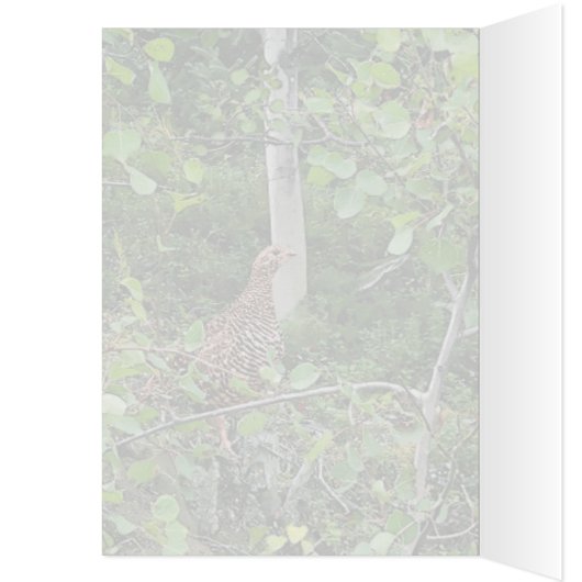 Spruce Grouse 2 - 5 "x 7" Art Kaart (Binnen (Links))