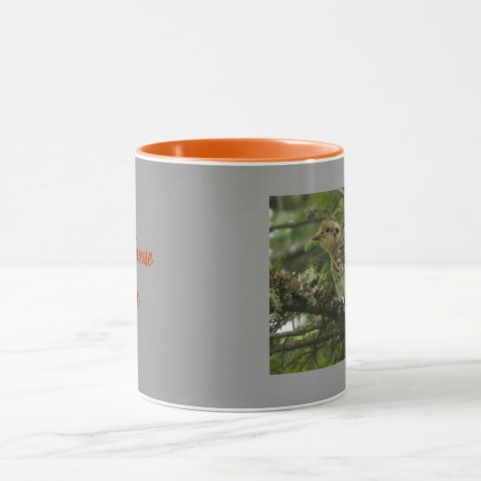 Spruce Grouse Chick Mok (Midden)