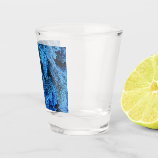 Spruce takken bedekt met sneeuw en vorst shot glas (Rechts)