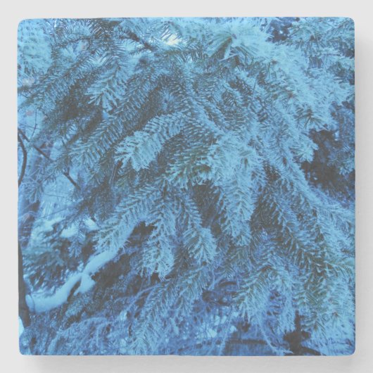 Spruce takken bedekt met sneeuw en vorst stenen onderzetter (Voorkant)