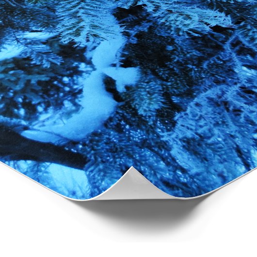 Spruce takken bedekt met sneeuw- en vorstkristalle poster (Hoek)