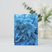 Spruce takken bedekt met vorstkristallen briefkaart (Staand voorkant)