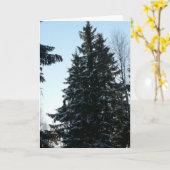 Spruce Trees In Forest Kaart (Gele Bloem)