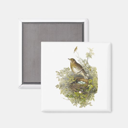  spruitbeschermer haar eieren magneet (Voorkant / Achterkant)