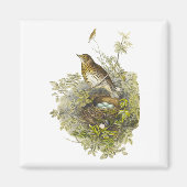  spruitbeschermer haar eieren magneet (Voorkant)