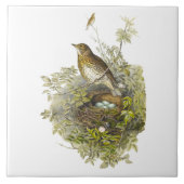  spruitbeschermer haar eieren tegeltje (Voorkant)