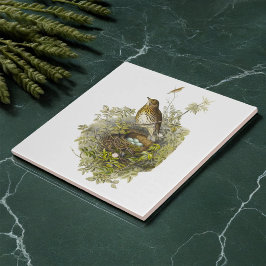 spruitbeschermer haar eieren tegeltje