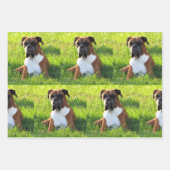 Spuit de papierbladen van de doos - Dog Wrapping Inpakpapier Vel (Voorkant 3)