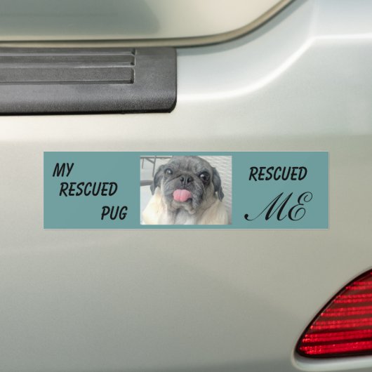 Spuitbus-bumper sticker (Op auto)