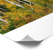 Spuiten in de Herfst Poster (Hoek)