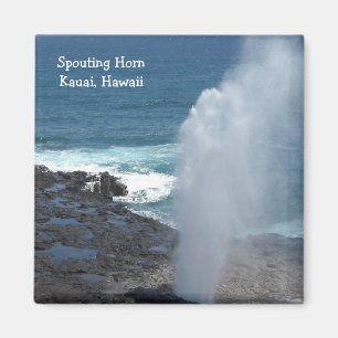 Spuitende Hoorn in Kauai, Hawaii Magneet