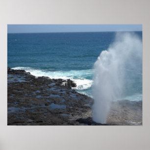 Spuitende Hoorn in Kauai, Hawaii Poster