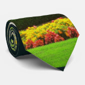 Spuitfontein in City Park Flower Garden Stropdas (Opgerold)