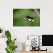 Spuitgeschilde dragonfly vleugels poster (Thuiskantoor)