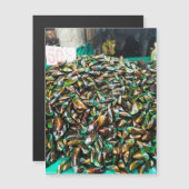 Spuitmosselen voor verkoop - Magnetische kaart (Voorkant / Achterkant)