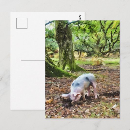 Spuitolie Briefkaart (Voorkant / Achterkant)