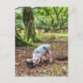 Spuitolie Briefkaart (Voorkant)