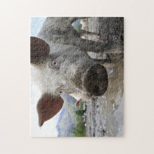 Spuitpuzzel Legpuzzel (Verticaal)