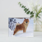 spuitschilderende briefkaarten (Staand voorkant)