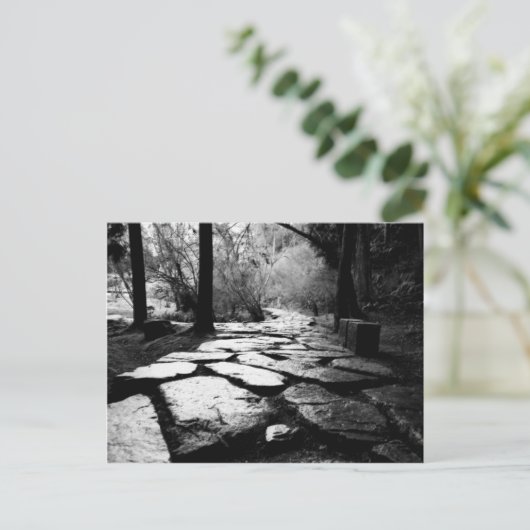 Spuitstenen met spoeling briefkaart (Staand voorkant)