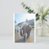 Spuitwater voor olifanten briefkaart (Staand voorkant)