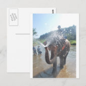 Spuitwater voor olifanten briefkaart (Voorkant / Achterkant)