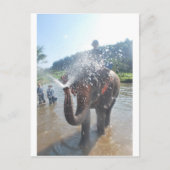 Spuitwater voor olifanten briefkaart (Voorkant)