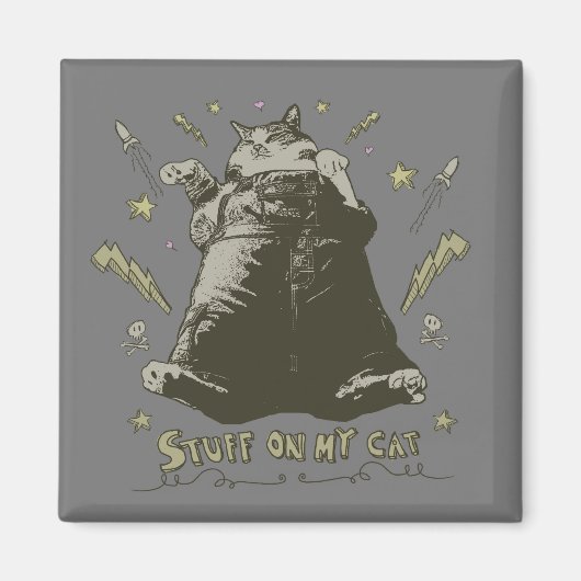 Spullen op mijn kat - Fat Cat Magneet (Voorkant)