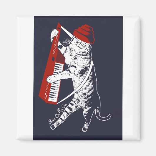 spullen op mijn kat - keytar magneet (Voorkant)